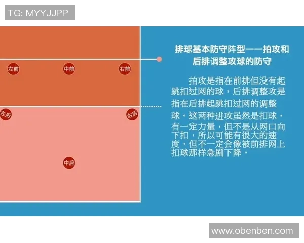 重庆排球队进攻战术解析与球队发展现状探讨